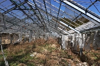 An abandoned greenhouse near Okuma, Fukushima Prefecture. The town is one of the two municipalities that is home to the crippled Fukushima No. 1 nuclear plant. The entire population of about 11,500 people was evacuated in March 2011 and most haven't returned.  | Francesco Bassetti