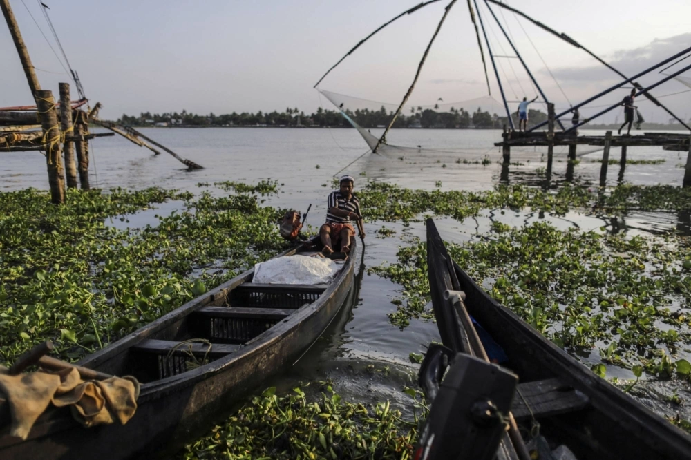 A fisherman rows his boat ashore in Cochin, Kerala, India. A fisherman rows his boat ashore in Cochin, Kerala, India.
