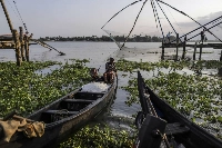 A fisherman rows his boat ashore in Cochin, Kerala, India. | Bloomberg