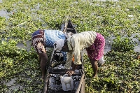 Fishermen arrange their fish in a boat near in Cochin, Kerala, India. | Bloomberg