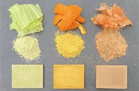 Materials derived from cabbage (left), iyokan (center) and onion by Tokyo-based startup Fabula, which is working to develop new materials that can replace concrete.  | COURTESY OF FABULA