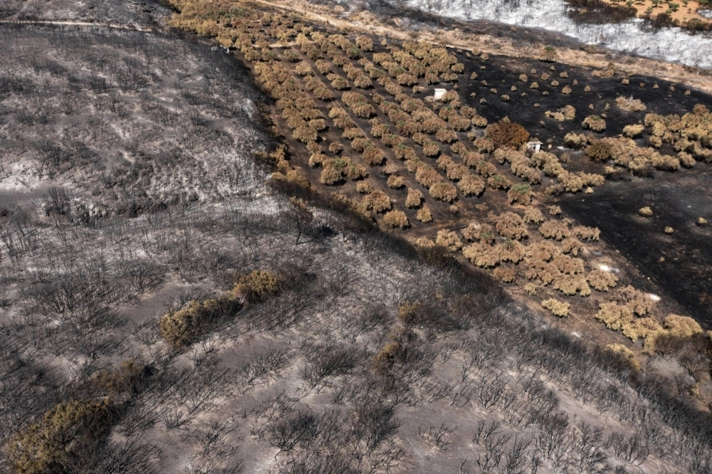 Burnt olive groves following a wildfire in the village of Dikella, west of Alexandroupolis, Greece, on Aug. 29. Nature-based investment aims to back projects that tackle land degradation, rectify biodiversity loss and combat climate change. Burnt olive groves following a wildfire in the village of Dikella, west of Alexandroupolis, Greece, on Aug. 29. Nature-based investment aims to back projects that tackle land degradation, rectify biodiversity loss and combat climate change.