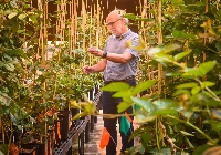 Tom Adams, chief executive and co-founder of Pairwise, which uses gene-editing techniques to create new varieties of fruits and vegetables, on Sept. 13. Hot-weather cherries, drought-resistant melons and six other crops in the works could change how we eat in a fast-warming world. | Kate Medley / The New York Times