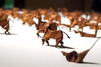 Outsider artist Yoshihiro Watanabe’s tiny “Oriha” animals, on display in the Nakajima Lock Control Room plaza, are each made of a single oak leaf. | MIO YAMADA