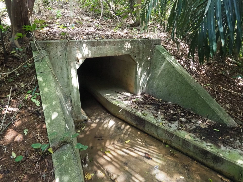 An underpass designed to let Iriomote cats safely cross a road on the Okinawa Prefecture island of the same name. An underpass designed to let Iriomote cats safely cross a road on the Okinawa Prefecture island of the same name.