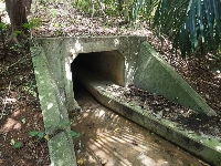 An underpass designed to let Iriomote cats safely cross a road on the Okinawa Prefecture island of the same name. | Iriomote Wildlife Conservation Center