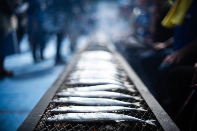 There are a lot of reasons for why the Pacific saury is becoming scarcer, including overfishing in international waters and changing ocean conditions. There are a lot of reasons for why the Pacific saury is becoming scarcer, including overfishing in international waters and changing ocean conditions.