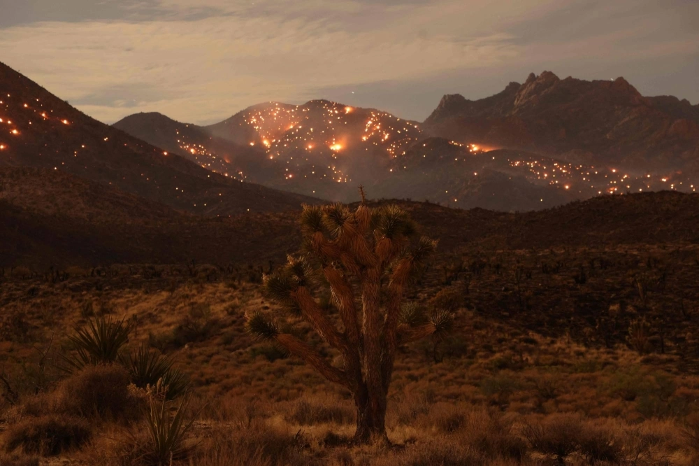 A Joshua Tree is seen as the York fire burns in the distance in the Mojave National Preserve on July 30, 2023. The year of 2023 was the hottest on record, with the increase in Earth's surface temperature nearly crossing the critical threshold of 1.5 degrees Celsius. A Joshua Tree is seen as the York fire burns in the distance in the Mojave National Preserve on July 30, 2023. The year of 2023 was the hottest on record, with the increase in Earth's surface temperature nearly crossing the critical threshold of 1.5 degrees Celsius.
