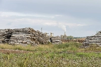 Drax’s Meadowbank pellet mill in British Columbia in 2022. Piles of logs and, in the background, what appears to be woodchips await processing into wood pellets. | Mighty Earth