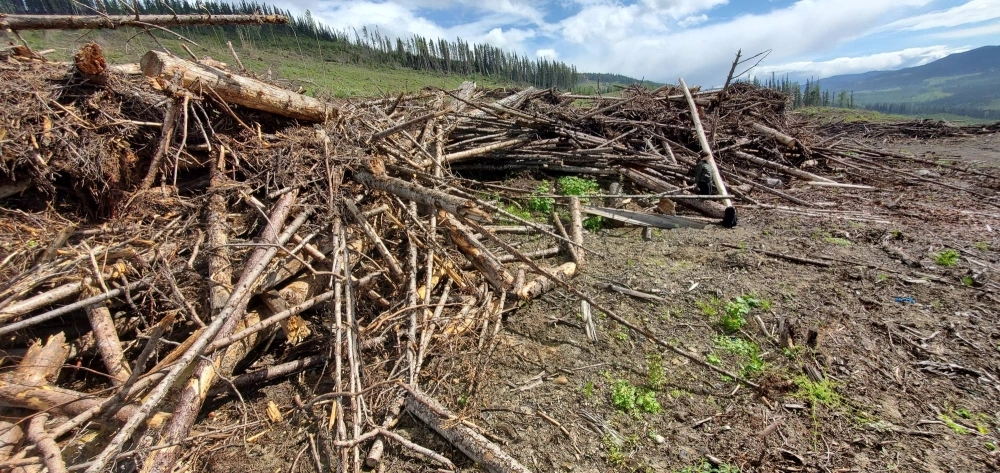 A pile of timber waste following a clearcut near Mackenzie, British Columbia, that had been designated for Pinnacle Renewable Energy, a pellet producer that was later taken over by Drax. A pile of timber waste following a clearcut near Mackenzie, British Columbia, that had been designated for Pinnacle Renewable Energy, a pellet producer that was later taken over by Drax.
