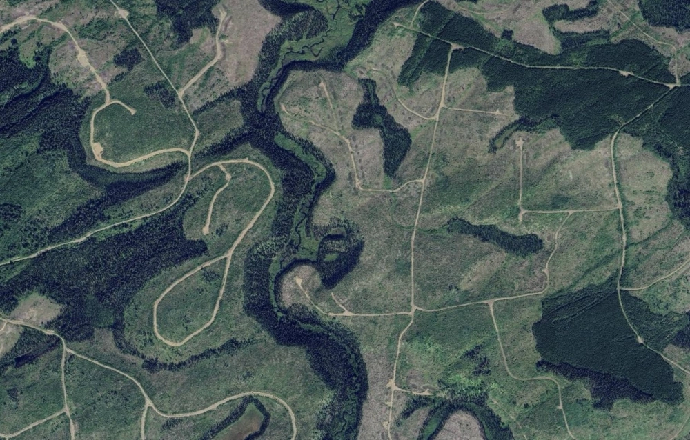 A satellite view of clearcuts in the vicinity of Prince George, British Columbia.  A satellite view of clearcuts in the vicinity of Prince George, British Columbia.