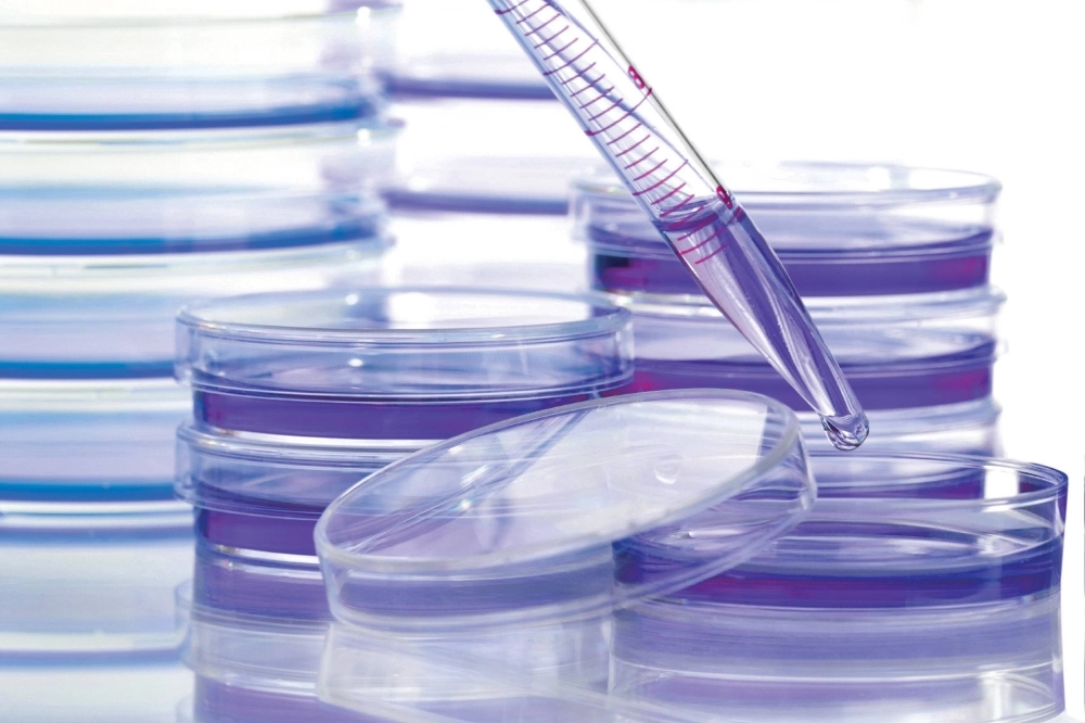 Machine learning could assist in cancer research by flagging papers likely to fail replication attempts, potentially improving the quality control process.  Machine learning could assist in cancer research by flagging papers likely to fail replication attempts, potentially improving the quality control process.