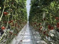 Biomass will heat the facility and provide clean CO2 for the plants. | MUTSU CITY