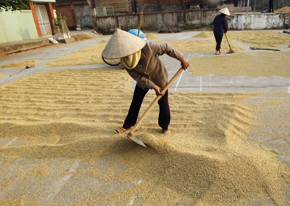 Developing nations feel that international trade rules favor developed countries and undermine their interests, particularly in areas like agriculture and fishing subsidies.  Developing nations feel that international trade rules favor developed countries and undermine their interests, particularly in areas like agriculture and fishing subsidies.