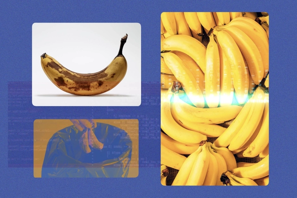 Artificial intelligence is peering into restaurant garbage pails and crunching grocery-store data to try to figure out how to send less uneaten food into dumpsters.  Artificial intelligence is peering into restaurant garbage pails and crunching grocery-store data to try to figure out how to send less uneaten food into dumpsters.