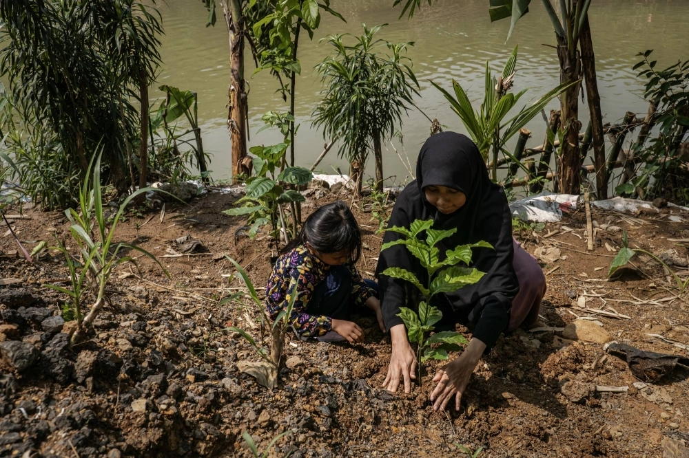 A mother and daughter plant trees on the banks of the Cikeas River in Bogor, West Java, Indonesia, in December 2023. While other Muslim nations also have strains of a “Green Islam” movement, Indonesia could be a guide for the rest of the world if it is able to transform itself. A mother and daughter plant trees on the banks of the Cikeas River in Bogor, West Java, Indonesia, in December 2023. While other Muslim nations also have strains of a “Green Islam” movement, Indonesia could be a guide for the rest of the world if it is able to transform itself.