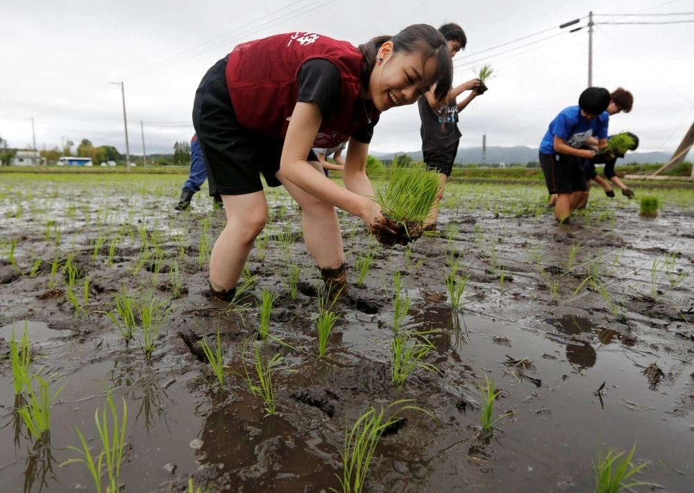 Tourists from Tokyo universities plant rice seedlings in a paddy near the tsunami-crippled Fukushima No. 1 nuclear power plant during a rice-planting event in Namie, Fukushima Prefecture, in 2018.  Tourists from Tokyo universities plant rice seedlings in a paddy near the tsunami-crippled Fukushima No. 1 nuclear power plant during a rice-planting event in Namie, Fukushima Prefecture, in 2018.