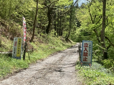 A forest road in Nasu, Tochigi Prefecture, near the site where the burned bodies of a Tokyo couple were found last month A forest road in Nasu, Tochigi Prefecture, near the site where the burned bodies of a Tokyo couple were found last month