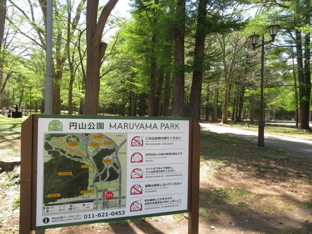 The entrance to Maruyama Park, one of Sapporo's most popular parks for summer recreation. The Maruyama Park area is part of a designated region where Sapporo plans tougher bear countermeasures, including the possible use of bear traps. The entrance to Maruyama Park, one of Sapporo's most popular parks for summer recreation. The Maruyama Park area is part of a designated region where Sapporo plans tougher bear countermeasures, including the possible use of bear traps.