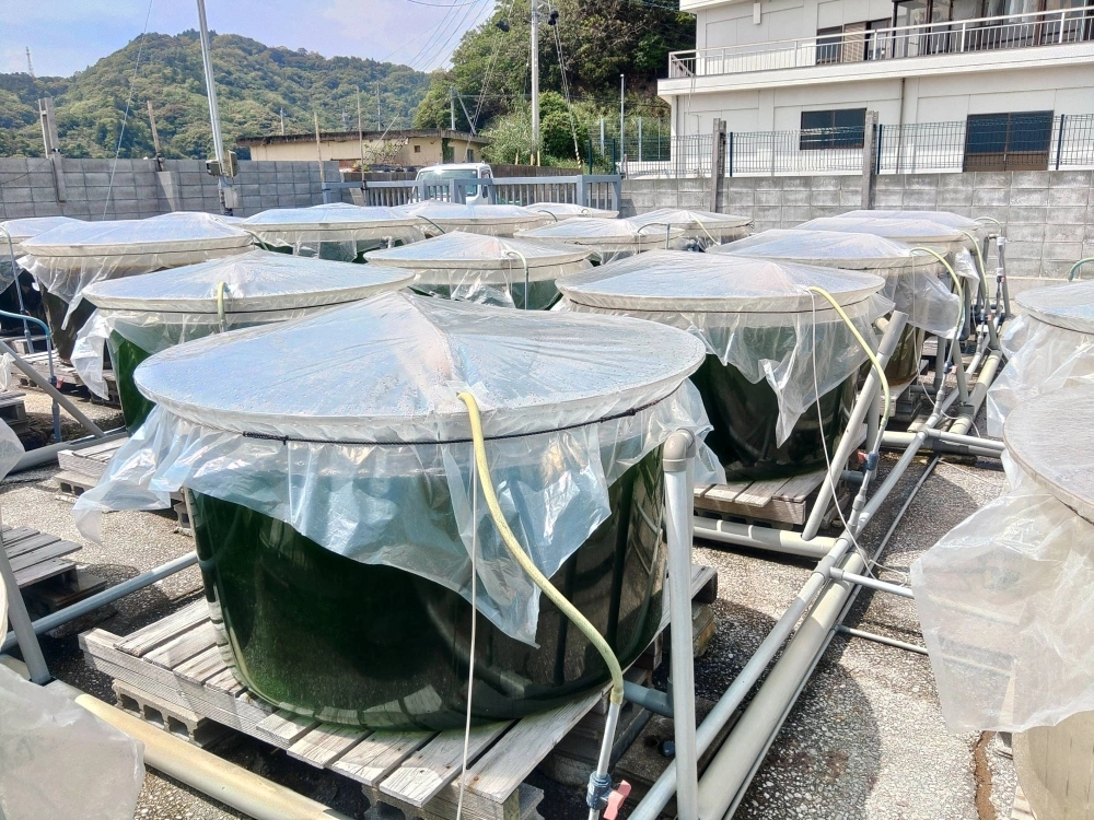 Water tanks used to cultivate seaweed on land by Three Lines in Uwajima, Ehime Prefecture Water tanks used to cultivate seaweed on land by Three Lines in Uwajima, Ehime Prefecture