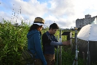 Toshihiro Kinjo (center), a research support technician at the Okinawa Institute of Science and Technology, inspects an audio recording device in Ginowan, Okinawa Prefecture, on April 3 as Masako Ogasawara, a research support specialist at OIST, looks on. | CHRIS RUSSELL