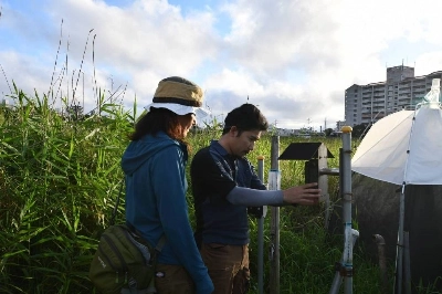 Toshihiro Kinjo (center), a research support technician at the Okinawa Institute of Science and Technology, inspects an audio recording device in Ginowan, Okinawa Prefecture, on April 3 as Masako Ogasawara, a research support specialist at OIST, looks on. Toshihiro Kinjo (center), a research support technician at the Okinawa Institute of Science and Technology, inspects an audio recording device in Ginowan, Okinawa Prefecture, on April 3 as Masako Ogasawara, a research support specialist at OIST, looks on.