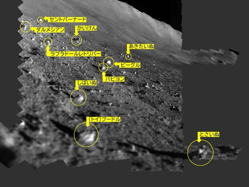SLIM's photo of 10 lunar rocks. Photos taken by SLIM have already contributed to understanding about the moon’s surface. SLIM's photo of 10 lunar rocks. Photos taken by SLIM have already contributed to understanding about the moon’s surface.
