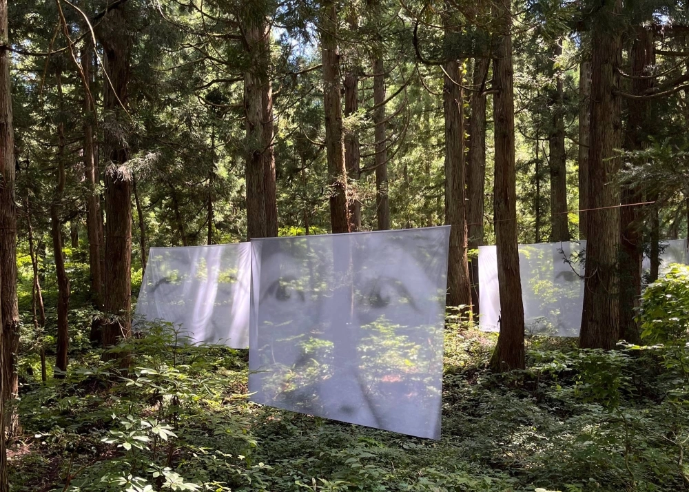 Eschewing the comfort of Tokyo’s air-conditioned museums, the inconvenient art movement draws viewers into the countryside to see artworks such as Christian Boltanski’s “Les Regards.” Eschewing the comfort of Tokyo’s air-conditioned museums, the inconvenient art movement draws viewers into the countryside to see artworks such as Christian Boltanski’s “Les Regards.”