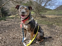 Rose (pronounced like the wine) is nothing to fear. | KANA MATSUTANI