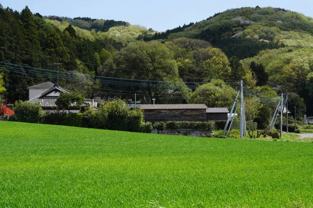 Unlike some other knife workshops that try to attract tourists, Isamitsu Knives is located in a particularly rural part of Ibaraki Prefecture. Unlike some other knife workshops that try to attract tourists, Isamitsu Knives is located in a particularly rural part of Ibaraki Prefecture.