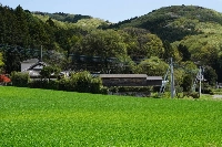 Unlike some other knife workshops that try to attract tourists, Isamitsu Knives is located in a particularly rural part of Ibaraki Prefecture. | CASSANDRA LORD