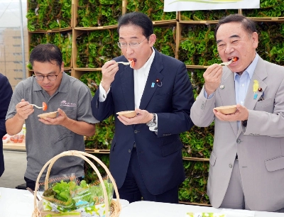 Prime Minister Fumio Kishida eats tomatoes in Hokuto, Yamanashi Prefecture, on Saturday.  Prime Minister Fumio Kishida eats tomatoes in Hokuto, Yamanashi Prefecture, on Saturday.