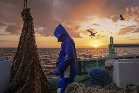 A fisherman on board a snow crab vessel in the sea west of the Noto Peninsula in November 2021. The fishing industry has tended to voice concerns about the impacts of offshore wind power, but examples from around the world show that offshore wind can coexist with fishers. | Bloomberg