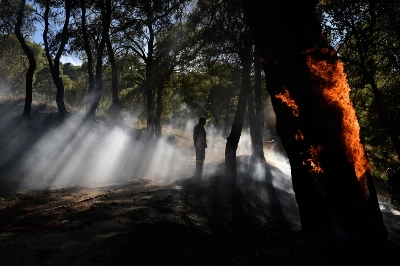 A firefighter looks on as smoke rises during a wildfire in Keratea, near Athens, on Sunday. A firefighter looks on as smoke rises during a wildfire in Keratea, near Athens, on Sunday.