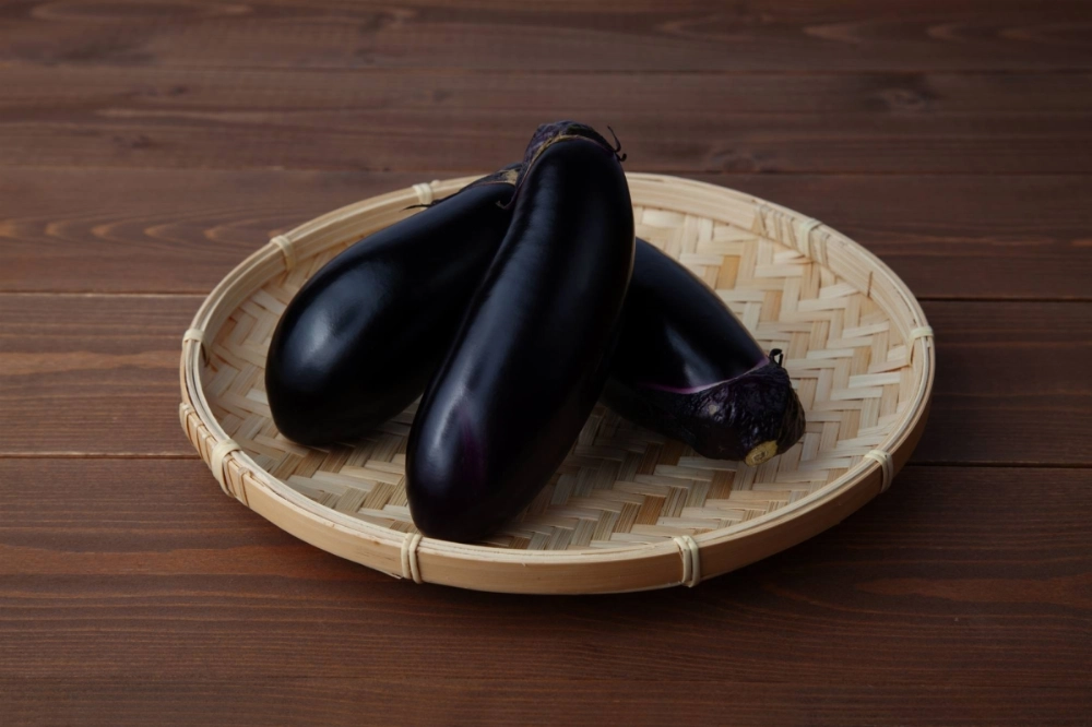 From mid-August through late September, eggplants reach their height of flavor in Japan. From mid-August through late September, eggplants reach their height of flavor in Japan.