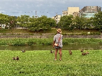 Japan has many rivers that run through its cities, but few offer the level of serenity and relaxation as Kyoto's Kamo River. | SHAWN B. SWINGER