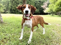 An understanding family and loving home will help Amber heal her wounds. | COURTESY OF KANA MATSUTANI