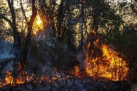 Forest fires have been raging for several weeks in Brazil, particularly in the Amazon rainforest in the north, bringing a heavy layer of smoke to many cities and even reaching neighboring countries. | AFP-Jiji