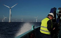 A view of wind turbines at an offshore wind farm near Nysted, Denmark, on Sept. 4, 2023. | REUTERS