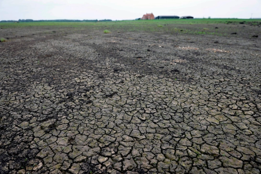 Cracked ground at a farm in Lincoln, U.K. Extreme weather worldwide is pushing up prices for food staples in ways that could eventually flow through to higher grocery bills. Cracked ground at a farm in Lincoln, U.K. Extreme weather worldwide is pushing up prices for food staples in ways that could eventually flow through to higher grocery bills.