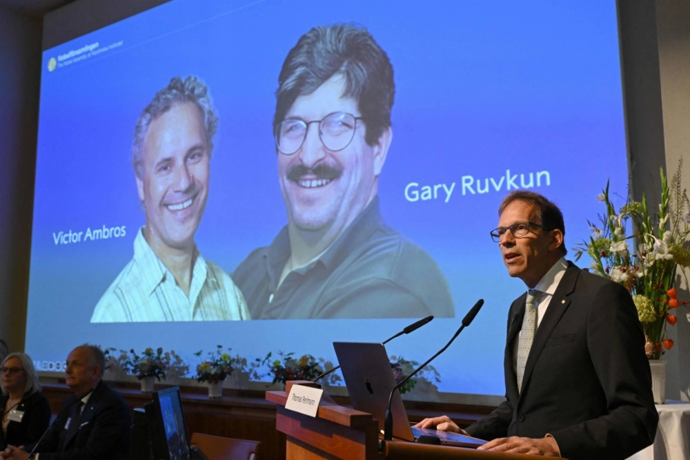 Nobel Committee Secretary-General Thomas Perlmann speaks to the media in front of a picture of this year's laureates Victor Ambros and Gary Ruvkum during the announcement of the winners of the 2024 Nobel Prize in Physiology or Medicine at the Karolinska Institute in Stockholm on Monday. Nobel Committee Secretary-General Thomas Perlmann speaks to the media in front of a picture of this year's laureates Victor Ambros and Gary Ruvkum during the announcement of the winners of the 2024 Nobel Prize in Physiology or Medicine at the Karolinska Institute in Stockholm on Monday.