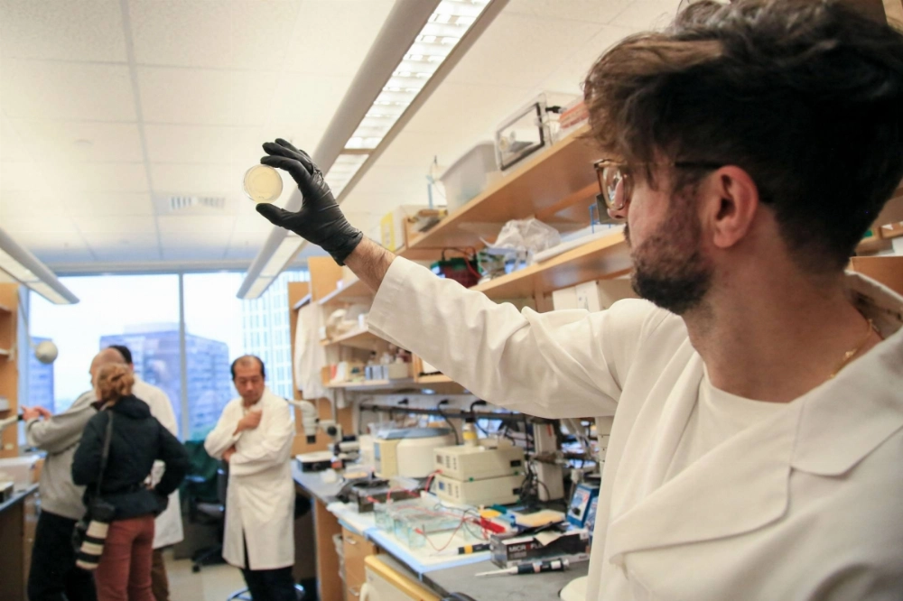 A researcher holds a plate of nematodes in a lab at Massachusetts General Hospital in Boston on Monday. American scientists Victor Ambros and Gary Ruvkun won the Nobel Prize in Medicine the same day for their discovery of microRNA and its role in how genes are regulated.  A researcher holds a plate of nematodes in a lab at Massachusetts General Hospital in Boston on Monday. American scientists Victor Ambros and Gary Ruvkun won the Nobel Prize in Medicine the same day for their discovery of microRNA and its role in how genes are regulated.