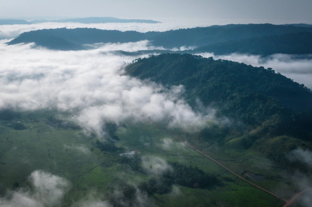 As banking's behemoths gather at the COP16 summit, there is much talk about monetizing nature and biodiversity. As banking's behemoths gather at the COP16 summit, there is much talk about monetizing nature and biodiversity.