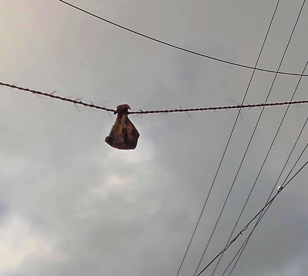 A pig bone is hung at the entrance to the Shiokawa district in the village of Tamara, Okinawa Prefecture, in August 2021. A pig bone is hung at the entrance to the Shiokawa district in the village of Tamara, Okinawa Prefecture, in August 2021.