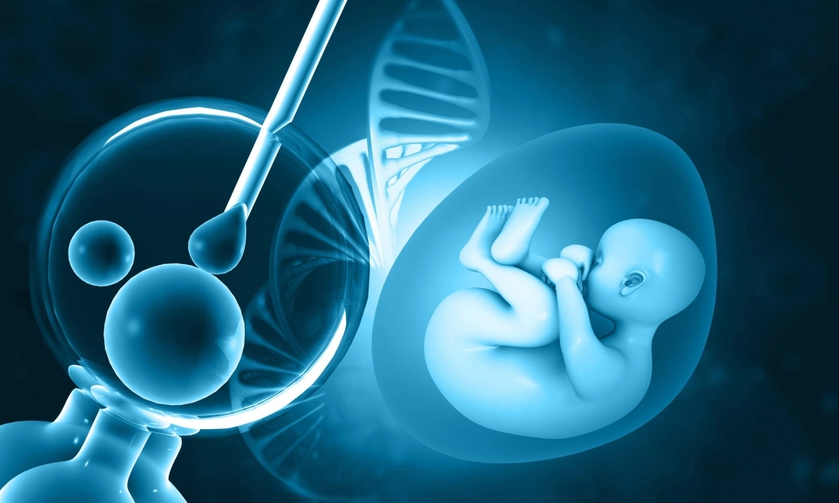 Testing for desirable embryos inconsistent and unreliable, new study says - The Japan Times
