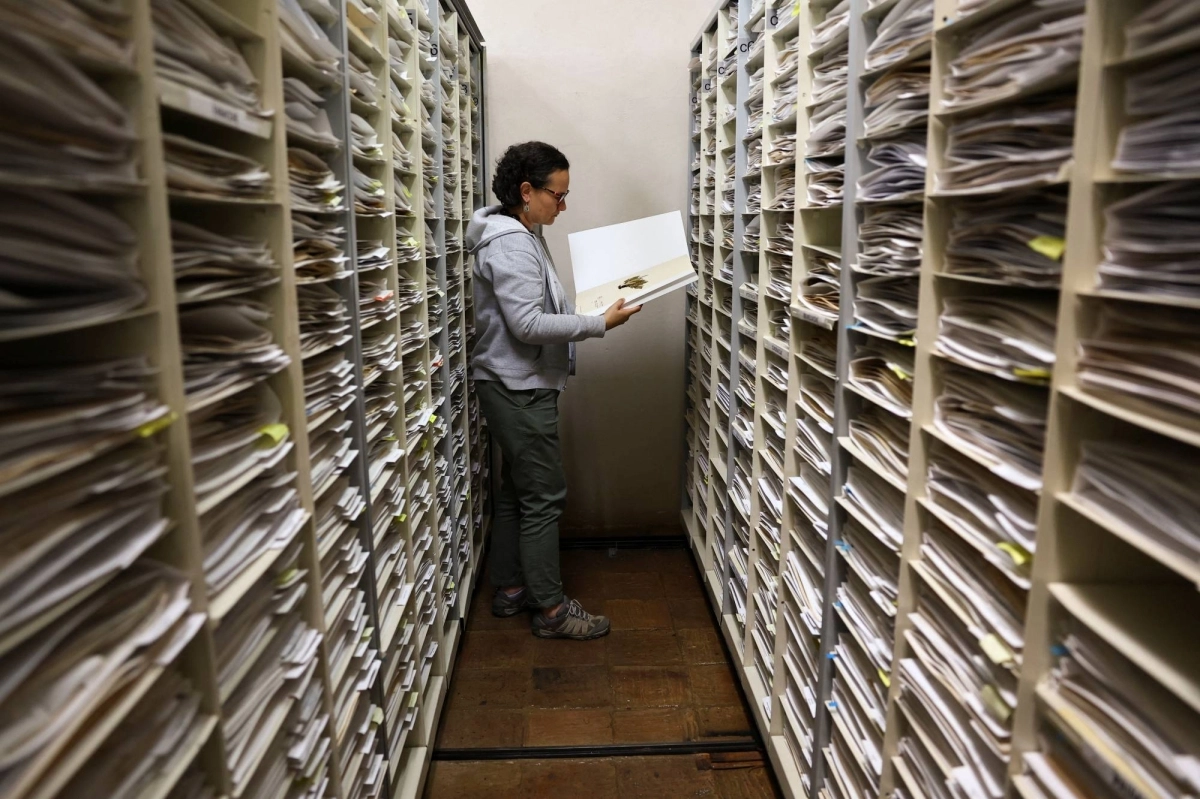 Amalia Diaz, director of herbarium and seed collection of the Alexander von Humboldt Biological Resources Research Institute, holds a symplocaceae plant.  Amalia Diaz, director of herbarium and seed collection of the Alexander von Humboldt Biological Resources Research Institute, holds a symplocaceae plant.