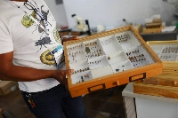 Jhon Cesar Neita, curator of the entomology and invertebrates collection of the Alexander von Humboldt Biological Resources Research Institute, holds a box with beetles discovered during the expeditions.  | REUTERS