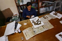 An employee of the Alexander von Humboldt Biological Resources Research Institute works on the conservation of the plant collection of the institute's herbarium. | REUTERS