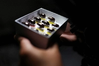 Jhon Cesar Neita, curator of the entomology and invertebrates collection of the Alexander von Humboldt Biological Resources Research Institute, shows off a box with beetles (Cyclocephala Arhuacana), a new species discovered during the expeditions of the Humboldt Institute.  | REUTERS