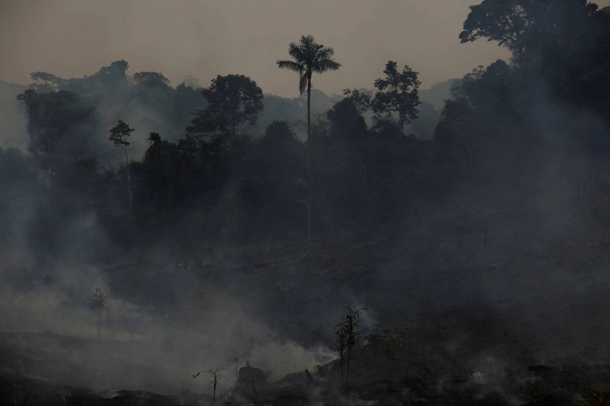 Smoke rises from the Amazon rainforest in the Apui, Amazonas state, Brazil, on Aug. 8. Smoke rises from the Amazon rainforest in the Apui, Amazonas state, Brazil, on Aug. 8.